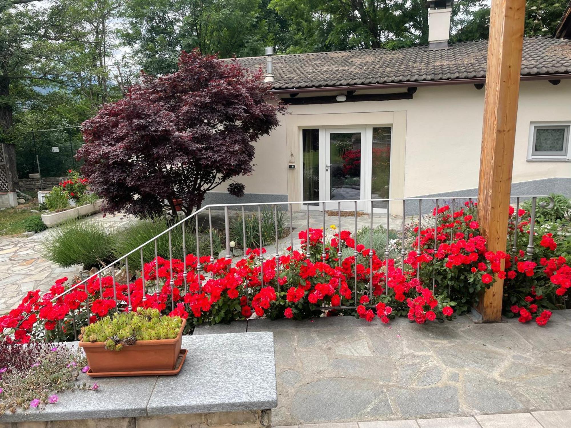 Apartamento La Casina Di Oscar Ad Ao V Combe Vda Quart 0014 E 00I6 Exterior foto